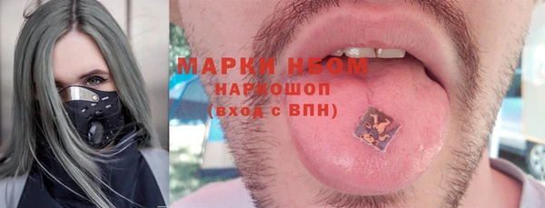 прущие грибы Вяземский