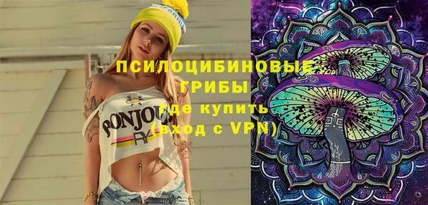прущие грибы Вяземский