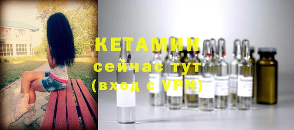 прущие грибы Вяземский
