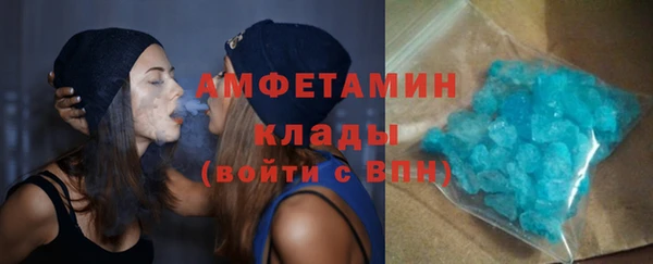 прущие грибы Вяземский