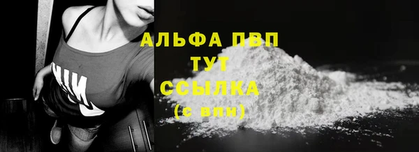 прущие грибы Вяземский