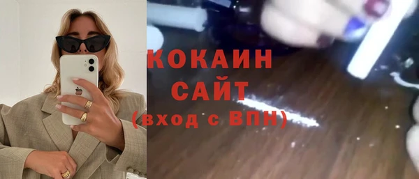 прущие грибы Вяземский
