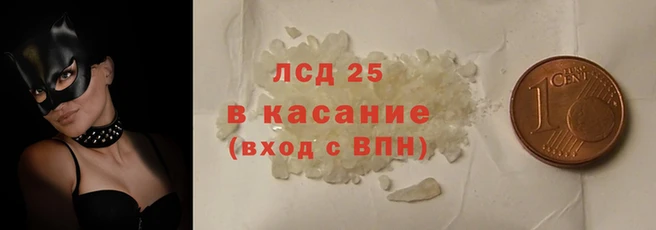 прущие грибы Вяземский