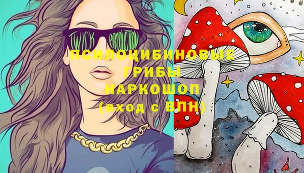 apvp Каменногорск